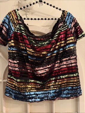 Multicolor Rainbow Sequin Striped Scoop Neck Short Sleeve Top Sparkle Party Top